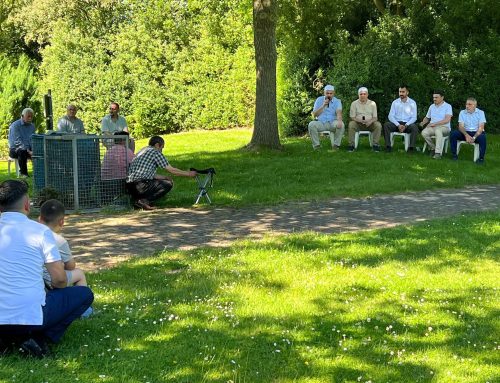 Grabbesuch